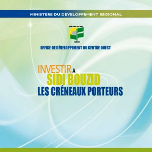 الاستثمار في سيدي بوزيد: منافذ واعدة