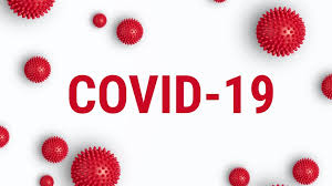 Report on the impact of the Covid pandemic 19